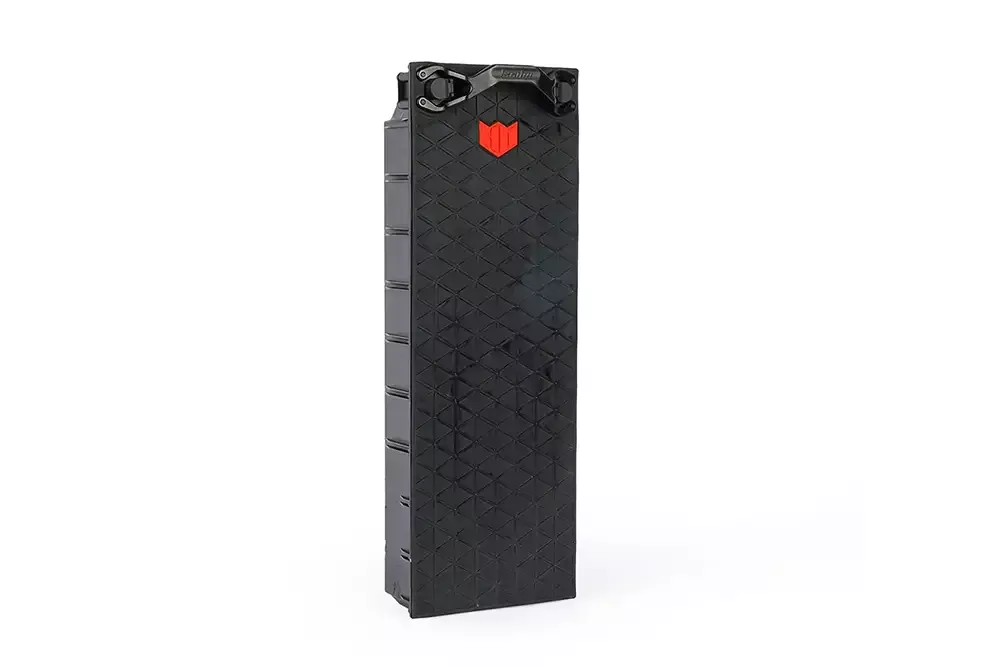Kaabo Wolf King GTR Battery